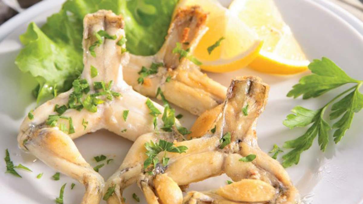 Su kurbağalarının soyu tükeniyor