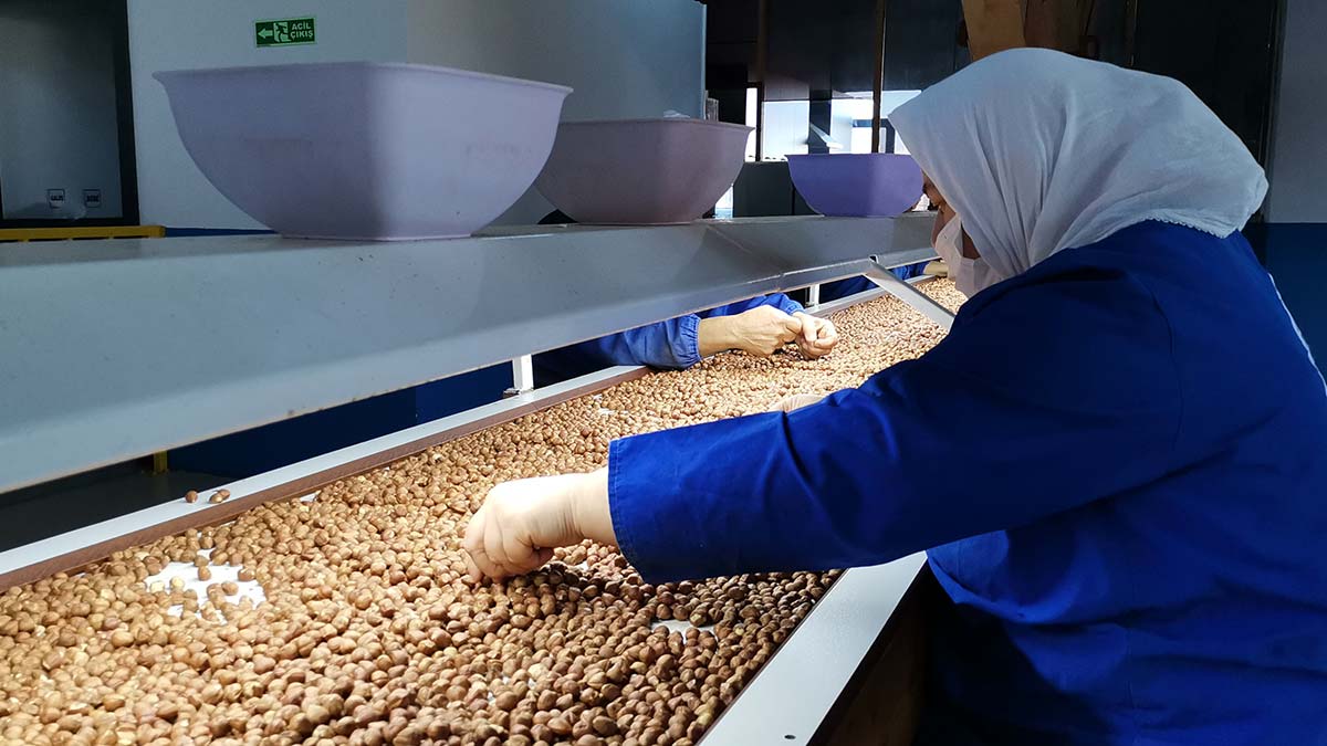 Ulusal Fındık Konseyi (UFK) Yönetim Kurulu üyesi Sebahattin Arslantürk, "Üreticinin fındıkta beklentisi, yeni mahsulde 45 liranın üzerinde. Bu rakam üreticiyi memnun edecektir" dedi.