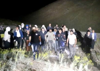 Van'da yıldırım düştü; 63 küçükbaş öldü