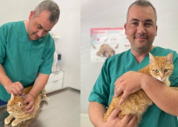 Havaların ısınmasıyla keneler faaliyete geçti