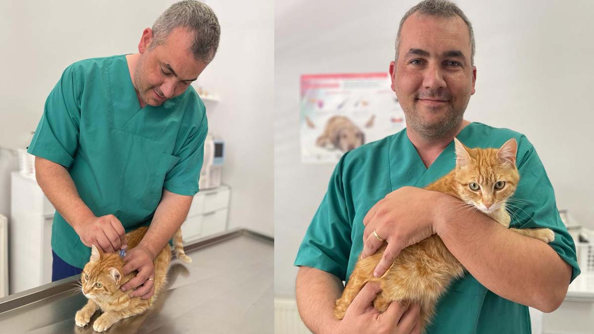 Havaların ısınmasıyla keneler faaliyete geçti