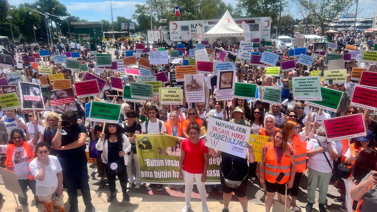 Yüzlerce hayvansever Kadıköy'de buluştu