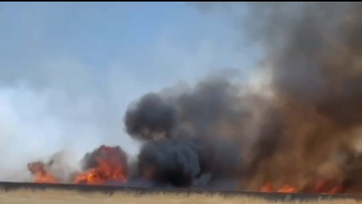 220 dönüm tarlada ekili buğday ve arpa yandı