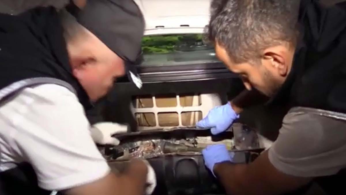 24 ilde 'Tümör' operasyonu