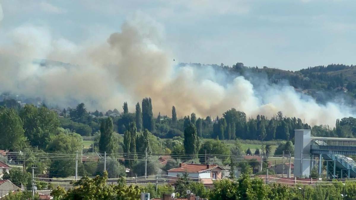 40 dönüm arpa ekili tarla kül oldu