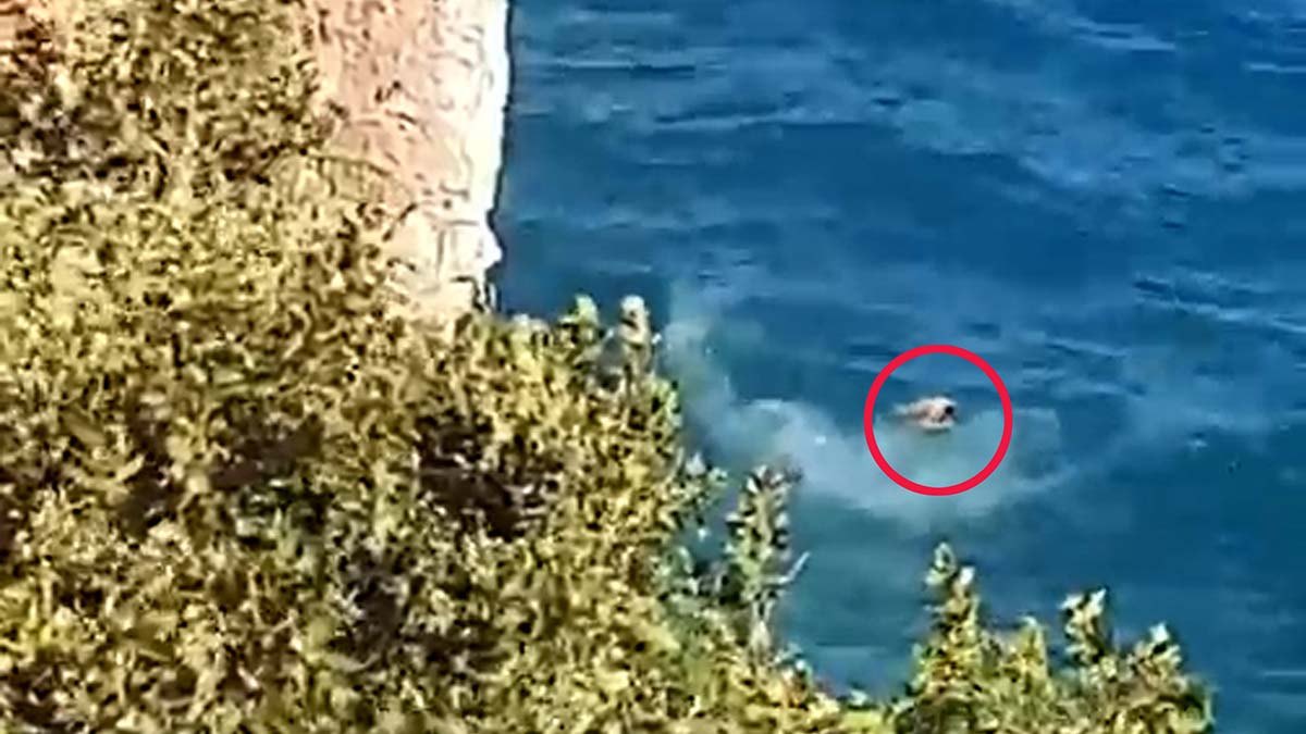 40 metre yukseklikten denize ters dusunce bilinc kaybi yasadi 5687 dhaphoto4 - antalya haberleri - antalya'da son dakika, yerel haberler - haberton
