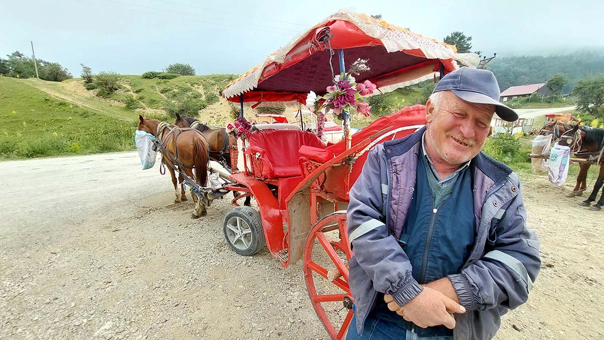 Abant Milli Parkı'nda fayton yasaklandı