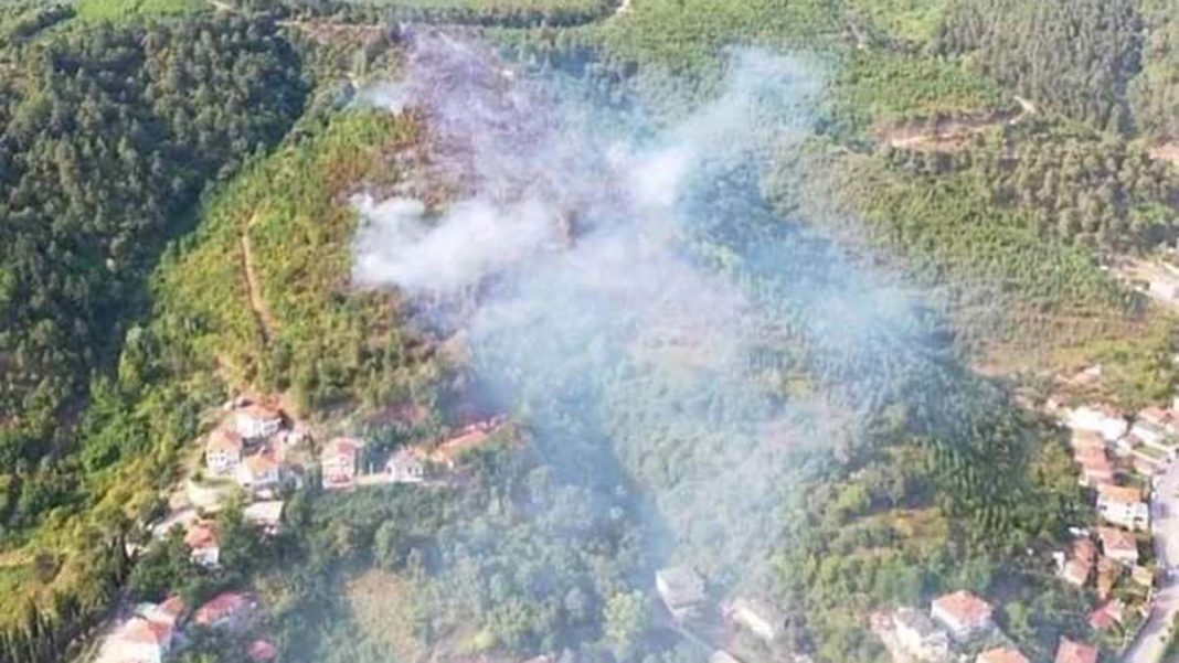 Adapazarı'nda ki yangında 6 hektar alan yandı