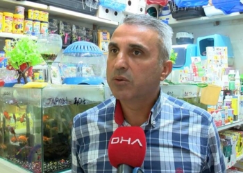 Akvaryumcular Odası'ndan Kasaplar Odası açıklaması