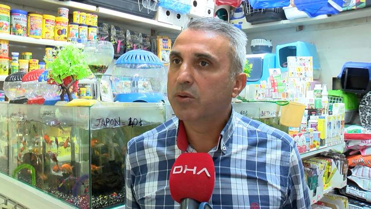 Akvaryumcular Odası'ndan Kasaplar Odası açıklaması