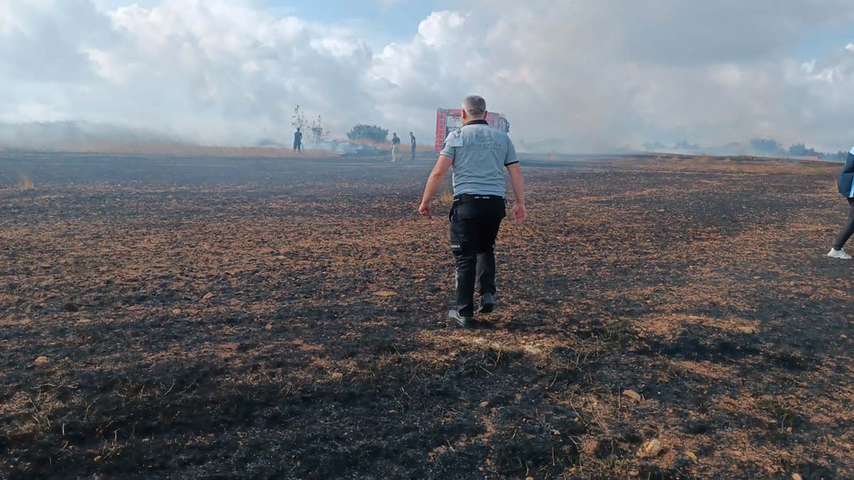 Arnavutköy'de buğday tarlasında yangın