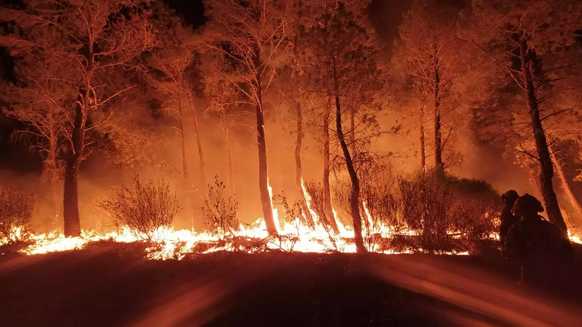 Avrupa orman yangınlarıyla mücadele ediyor