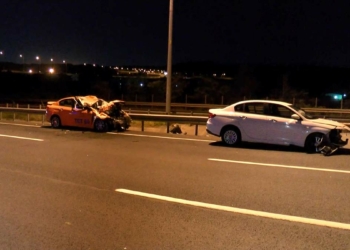 Başıboş mandalar kazaya yol açtı: 1 ölü, 2 yaralı