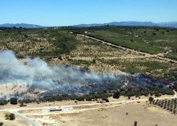 Bergama'da tarım arazisinde yangın