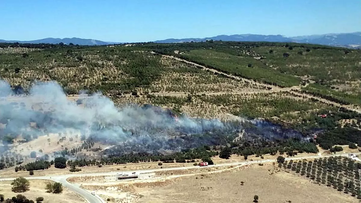 Bergama'da tarım arazisinde yangın