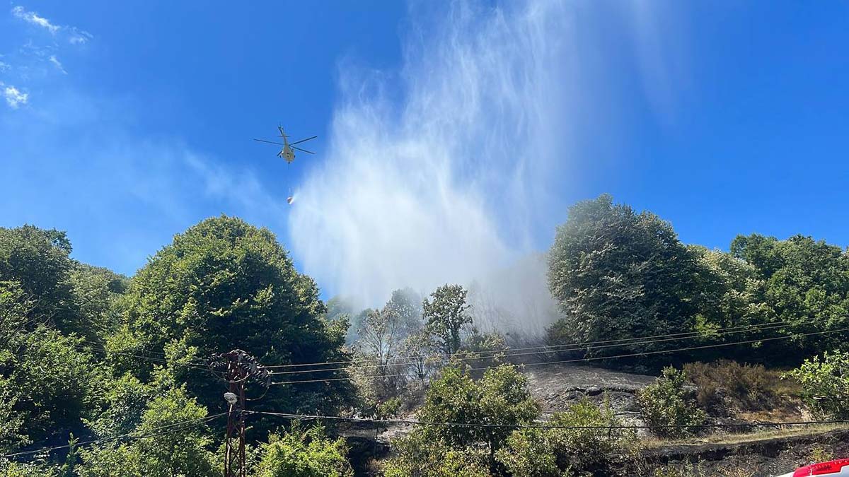 Beykoz'da orman yangını