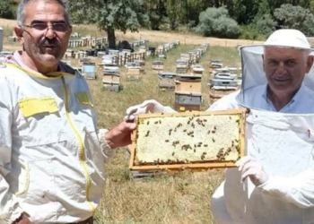 Binali Yıldırım, Erzincan'da bal hasadı yaptı