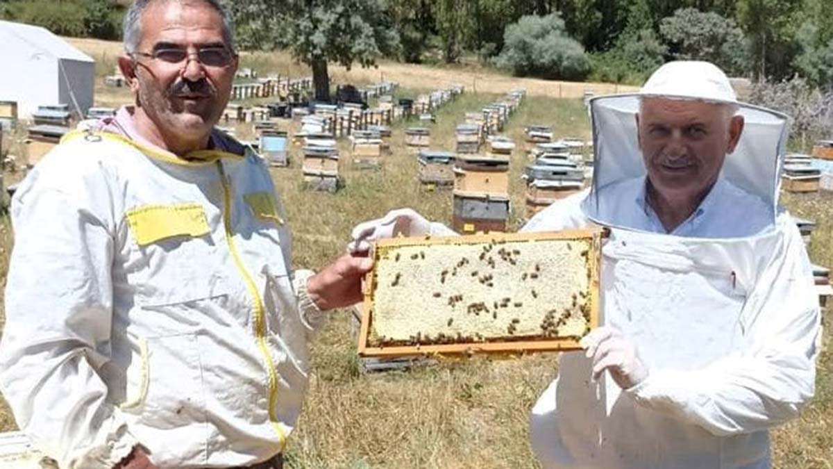 Binali Yıldırım, Erzincan'da bal hasadı yaptı