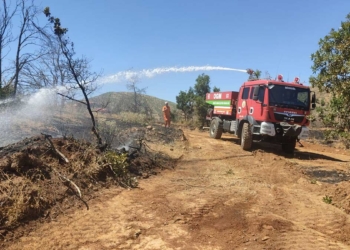 Bingöl'de orman yangını büyümeden söndürüldü