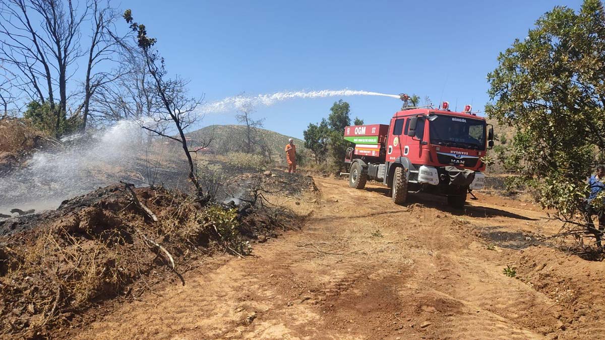 Bingöl'de orman yangını büyümeden söndürüldü
