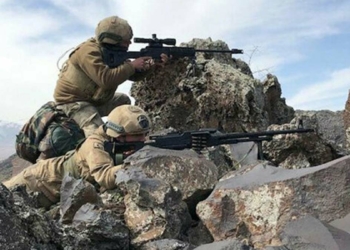 Bitlis'te 2 terörist etkisiz hale getirildi