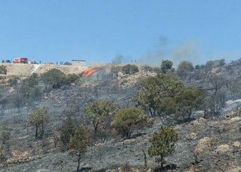 Bodrum'da makilik yangını