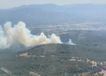 Bodrum'da orman ve makilik yangını
