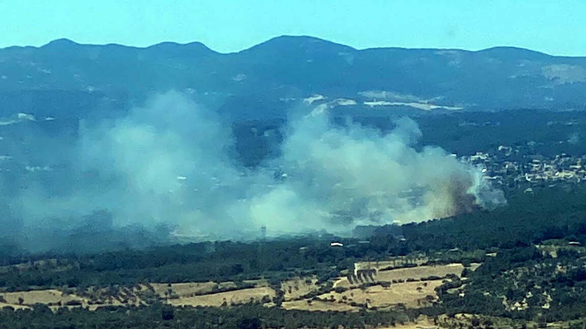 Bornova'da orman yangını çıktı