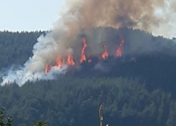 Burdur'da orman yangını