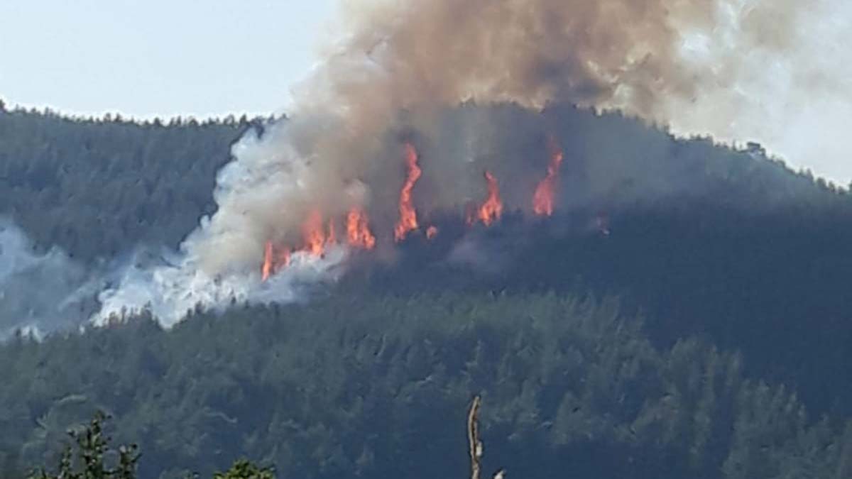 Burdur'da orman yangını