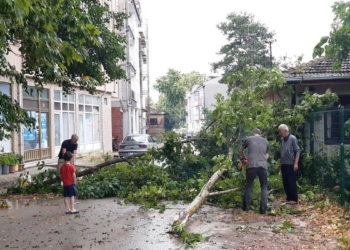Bursa'da sağanak ve fırtına; ağaçlar devrildi
