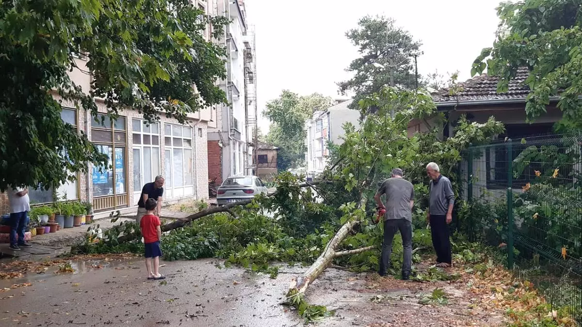 Bursa'da sağanak ve fırtına; ağaçlar devrildi