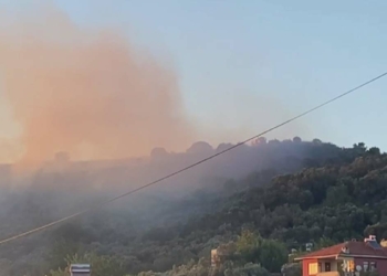 Bursa'da zeytinlik alanda çıkan yangın söndürüldü