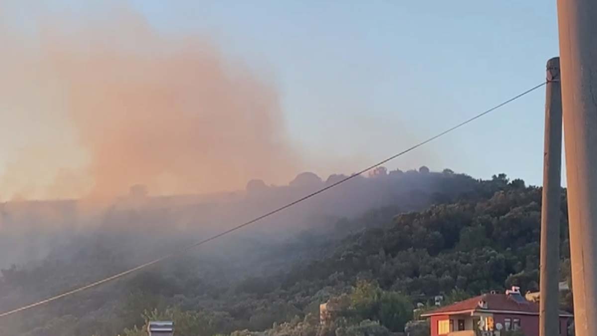 Bursa'da zeytinlik alanda çıkan yangın söndürüldü