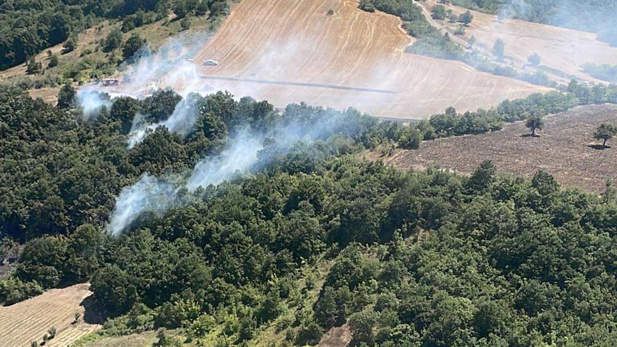 Bursa'daki orman yangını kontrol altına alındı