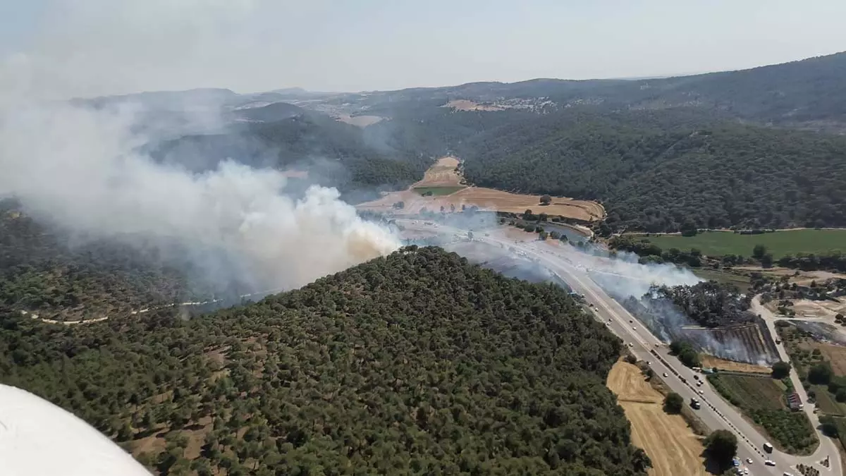 Canakkalede orman yangini 1 - öne çıkan - haberton