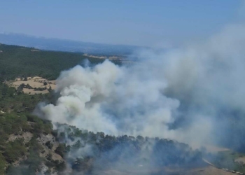 Çanakkale'de orman yangını