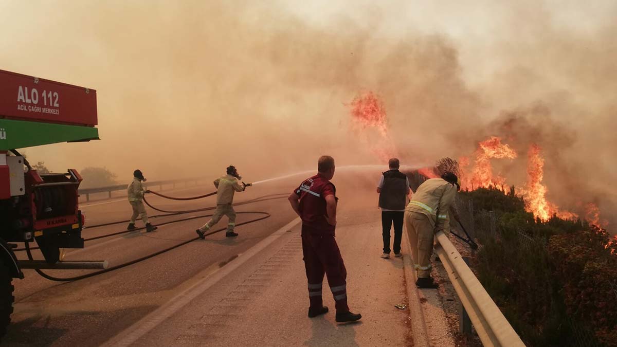 Çeşme'de makilik yangını