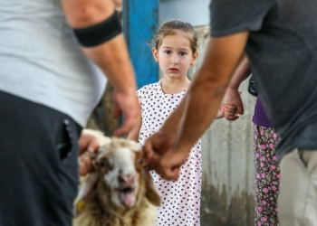 Çocuklar kurbanlıkların kesimlerini izledi