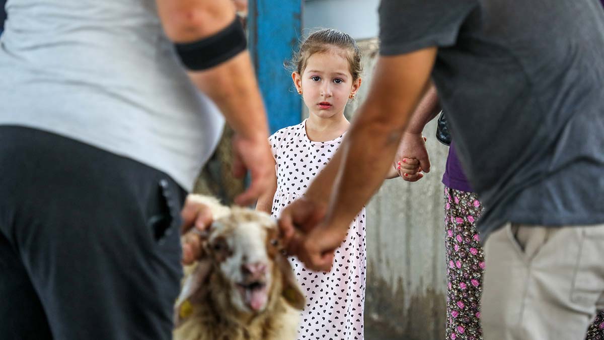 Çocuklar kurbanlıkların kesimlerini izledi