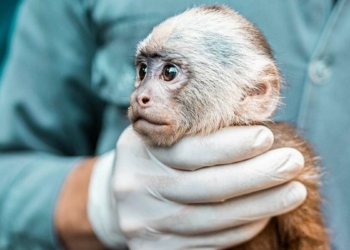 Denemekten bir şey çıkar