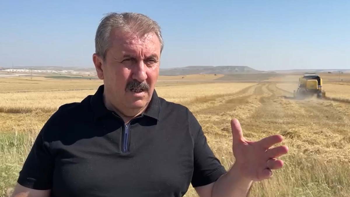 Destici, Eskişehir'de arpa hasadına katıldı