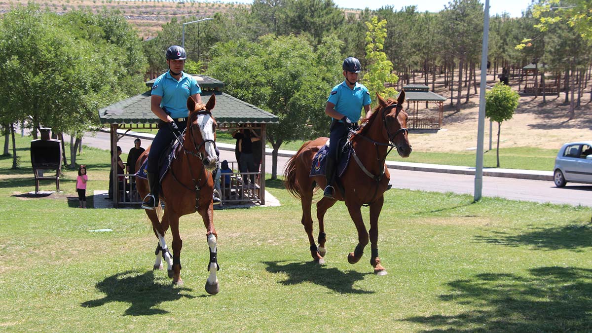 Elazığ'da atlı jandarma timleri göreve başladı