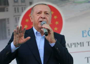 Erdoğan: Fındık alım fiyatı ortalama 54 lira