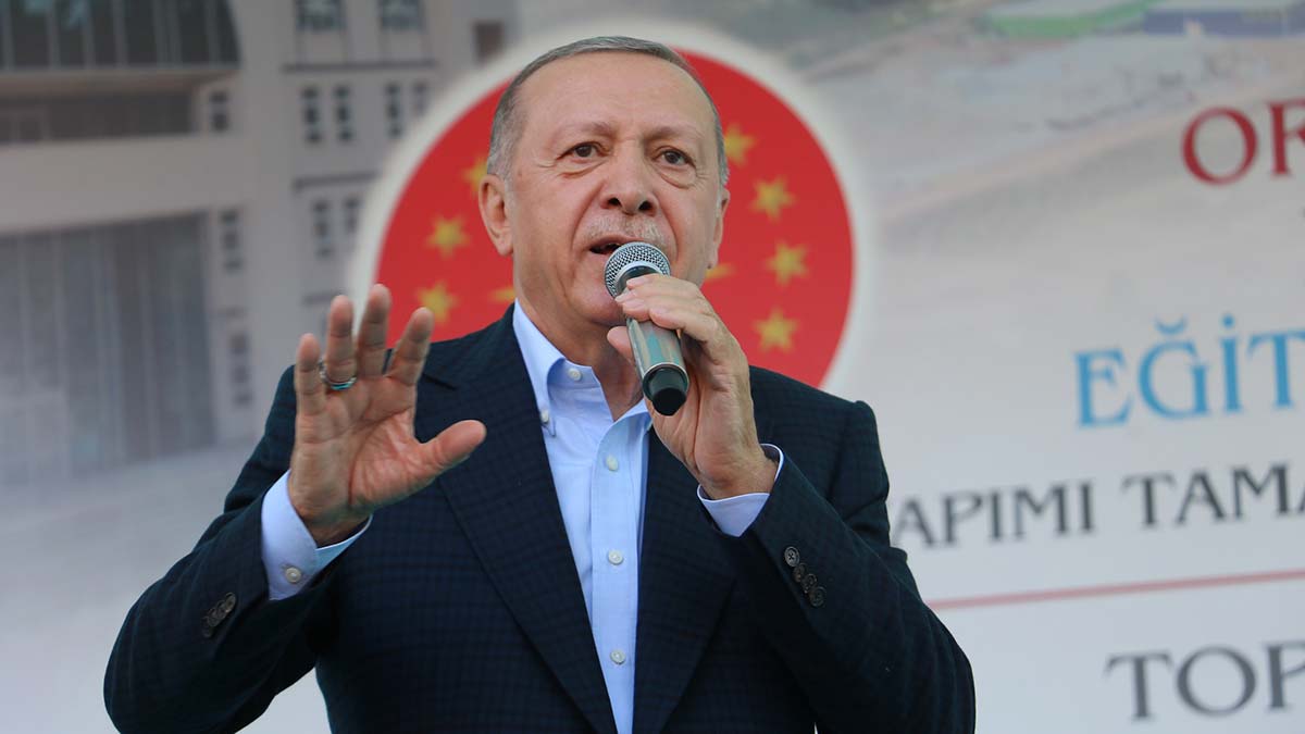Erdoğan: Fındık alım fiyatı ortalama 54 lira