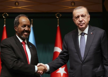 Erdoğan, Somali Cumhurbaşkanı ile görüştü