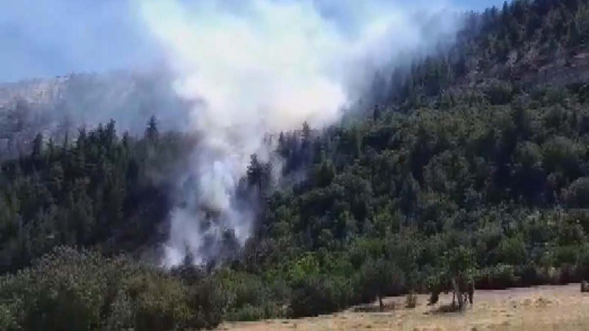 Ermenek'te orman yangını