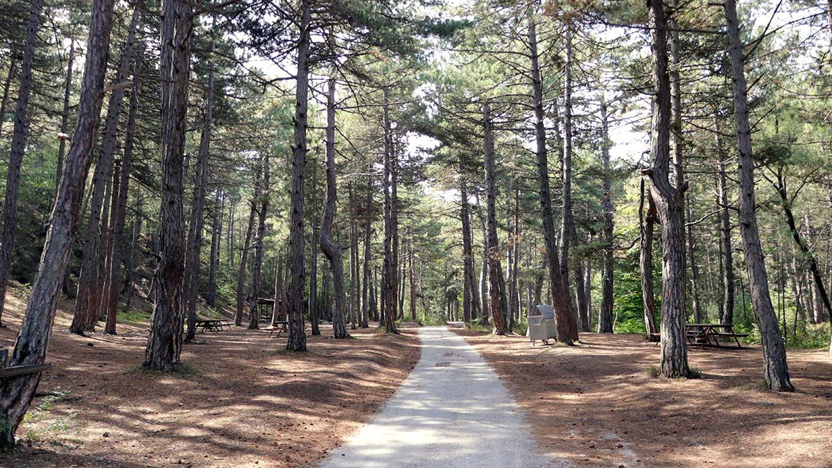 Eskişehir'de ormanlara giriş yasağı