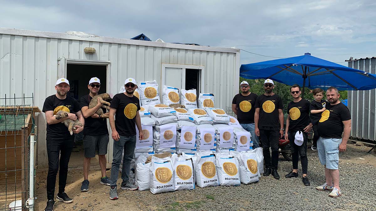 Fenomen köpek Boji, kripto paraya dönüştü 