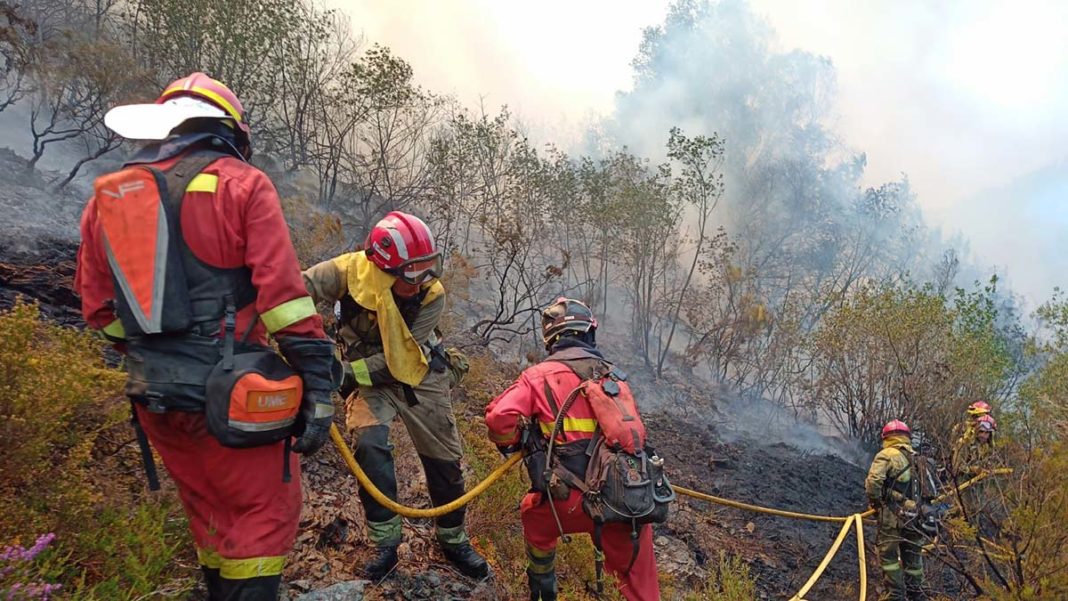 Fransa ve İspanya'da orman yangınlarıyla mücadele